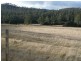 1363 Bogan Road, Deloraine TAS 7304