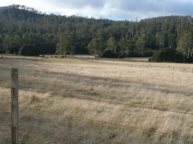 1363 Bogan Road, Deloraine TAS 7304
