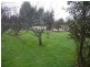 1 Burnett Street, Chudleigh TAS 7304