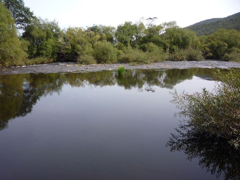 Lot 99 Morrison Street, Kimberley TAS 7304