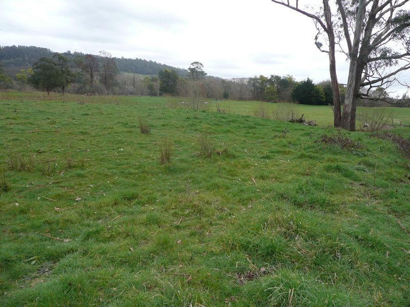 Lot 99 Morrison Street, Kimberley TAS 7304