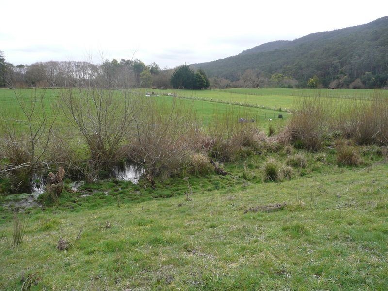 Lot 99 Morrison Street, Kimberley TAS 7304