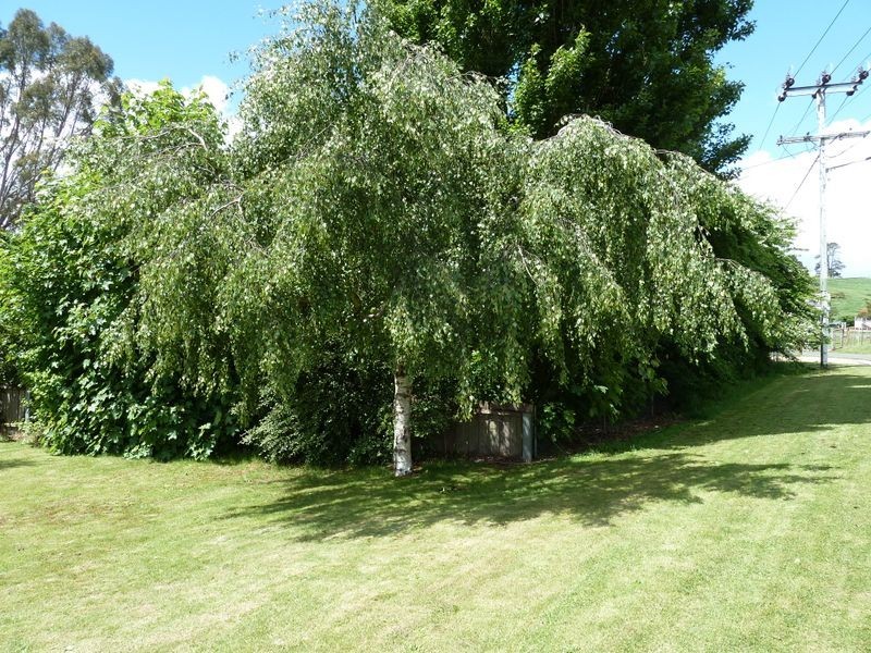 50 Meander Valley Highway, Deloraine TAS 7304