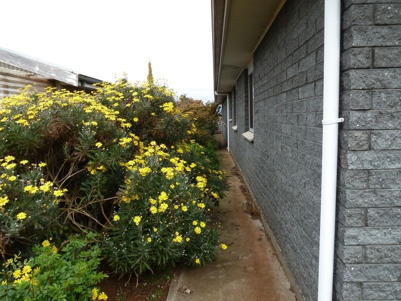 4 Quamby Court, Deloraine TAS 7304