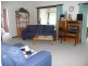 124 King Street, Westbury TAS 7303