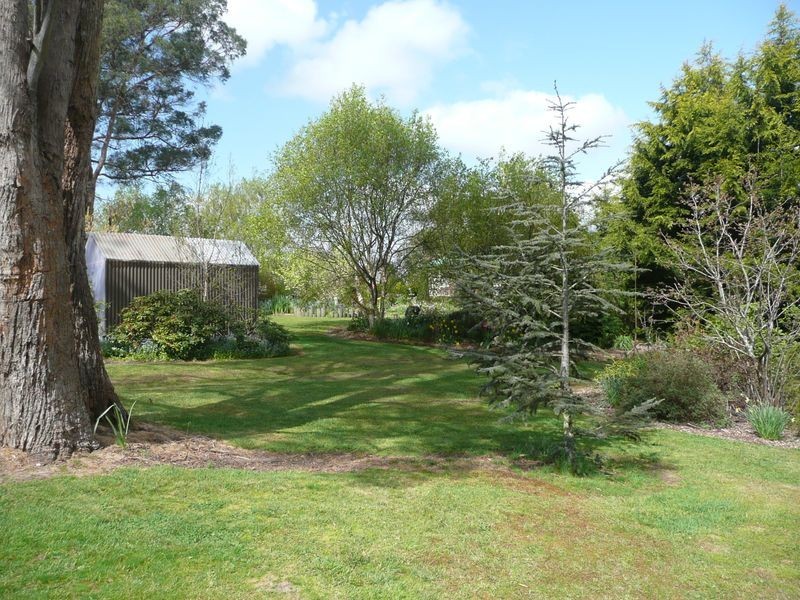 464 Avenue Road, Parkham TAS 7304
