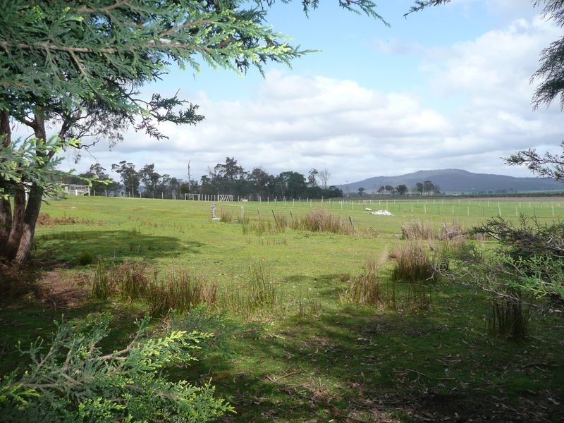 464 Avenue Road, Parkham TAS 7304