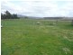 464 Avenue Road, Parkham TAS 7304