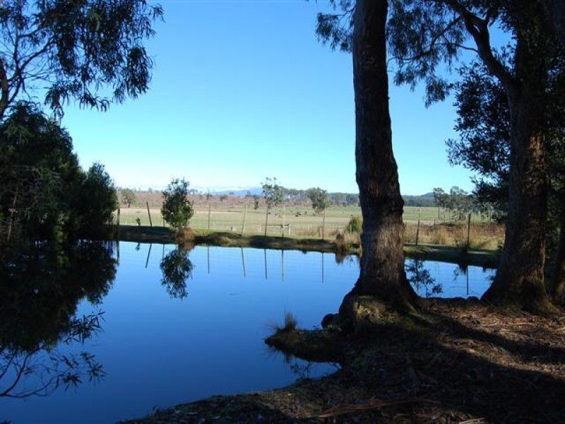 464 Avenue Road, Parkham TAS 7304