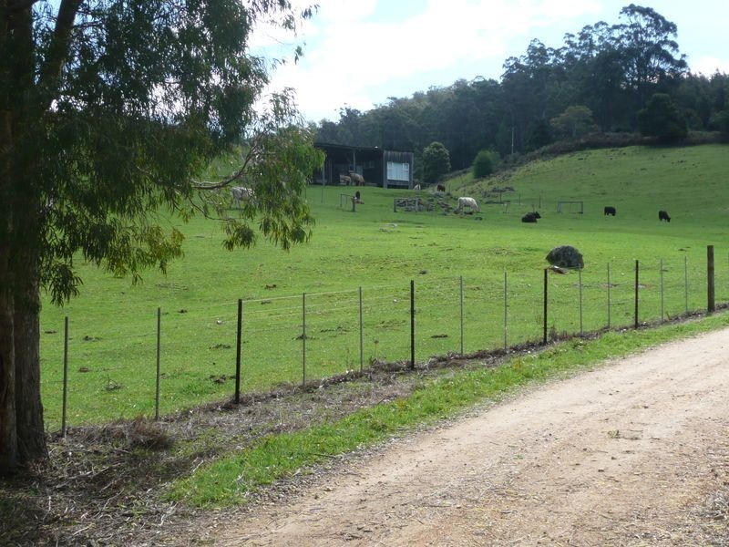 435 Liena Road, Mole Creek TAS 7304