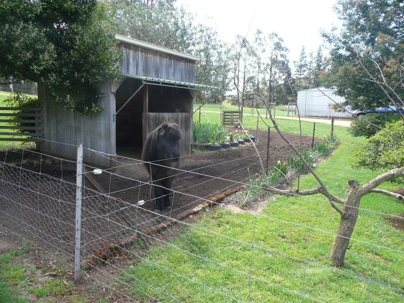 435 Liena Road, Mole Creek TAS 7304