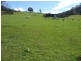 435 Liena Road, Mole Creek TAS 7304