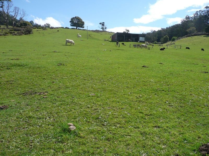435 Liena Road, Mole Creek TAS 7304