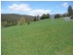 435 Liena Road, Mole Creek TAS 7304