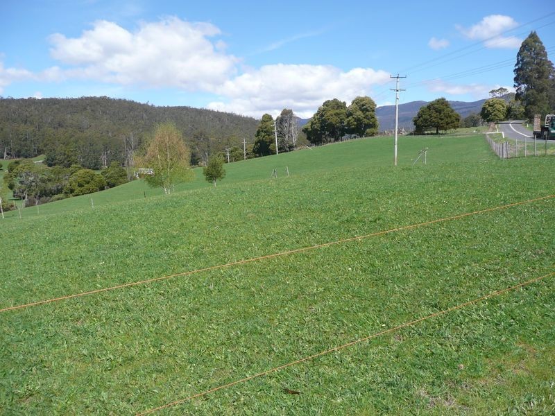 435 Liena Road, Mole Creek TAS 7304