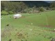 435 Liena Road, Mole Creek TAS 7304