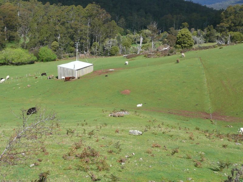 435 Liena Road, Mole Creek TAS 7304