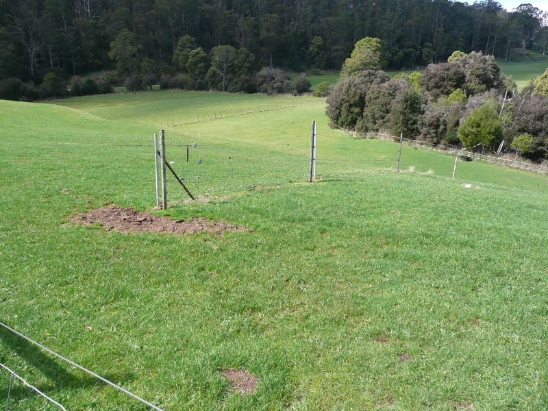 435 Liena Road, Mole Creek TAS 7304