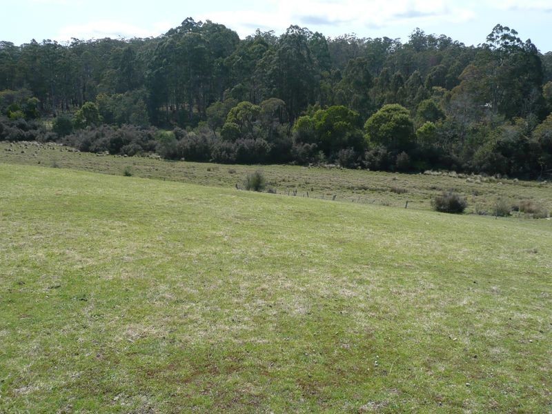 81 Farrells Road, Reedy Marsh TAS 7304