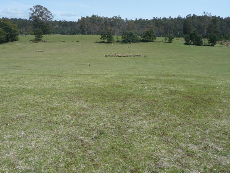 81 Farrells Road, Reedy Marsh TAS 7304