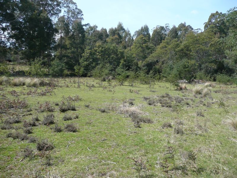 81 Farrells Road, Reedy Marsh TAS 7304