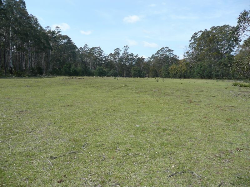 81 Farrells Road, Reedy Marsh TAS 7304