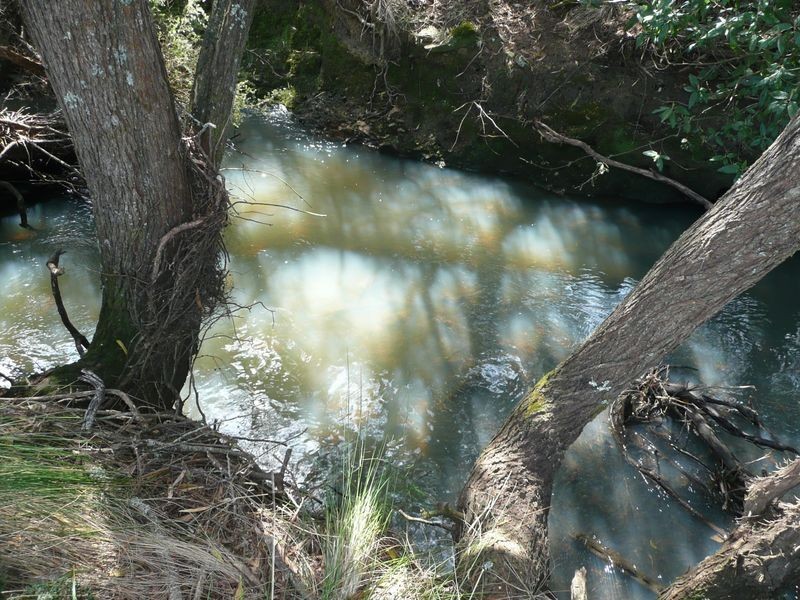 81 Farrells Road, Reedy Marsh TAS 7304