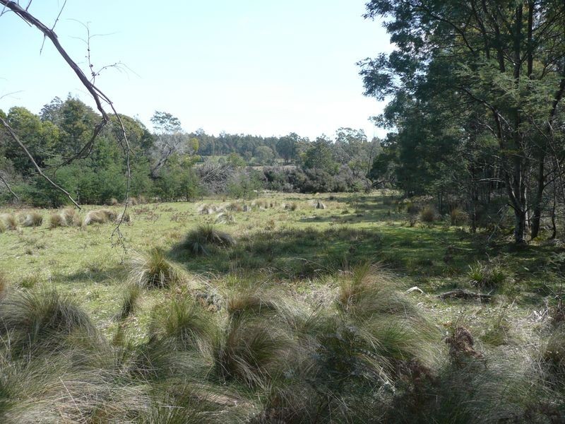 81 Farrells Road, Reedy Marsh TAS 7304