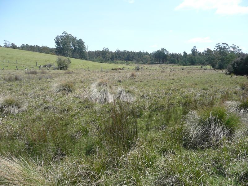 81 Farrells Road, Reedy Marsh TAS 7304