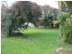 12 Grigg Street, Deloraine TAS 7304