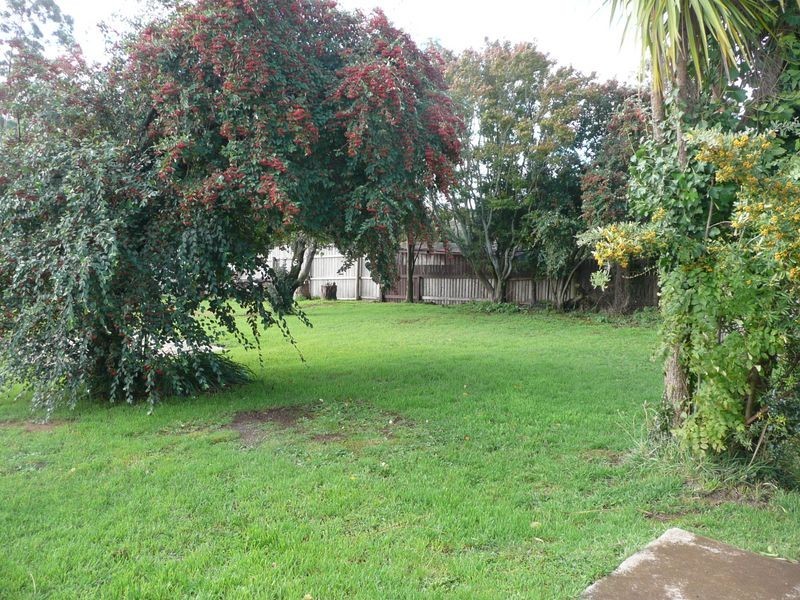12 Grigg Street, Deloraine TAS 7304