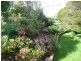 11 James Street, Forth TAS 7310