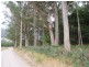 Boxhalls Road, Meander TAS 7304
