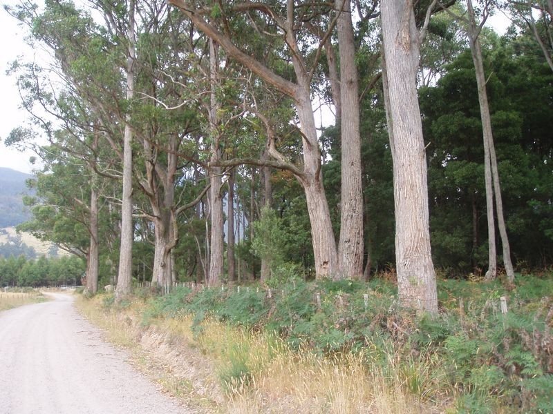 Boxhalls Road, Meander TAS 7304
