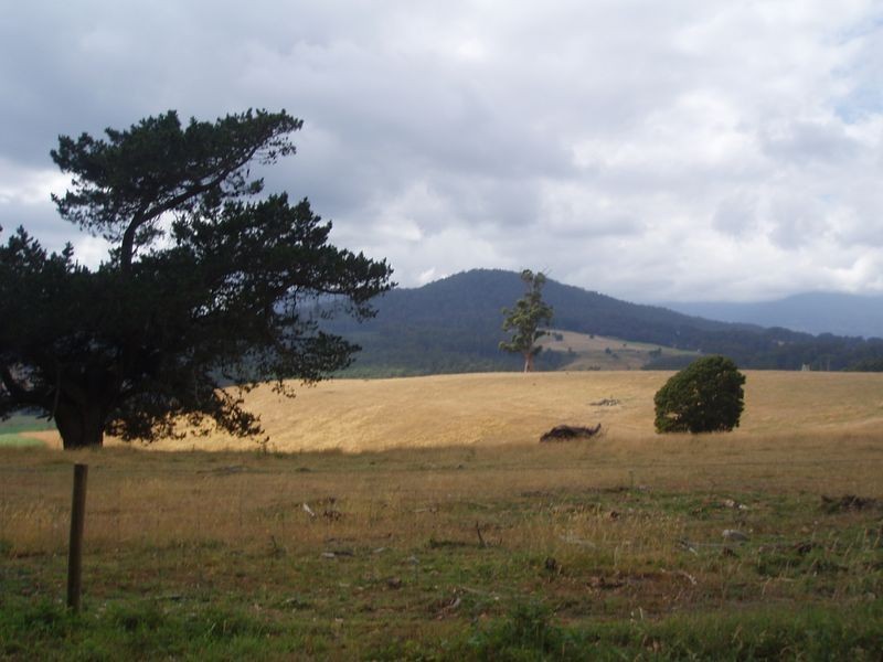 Boxhalls Road, Meander TAS 7304