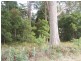 Boxhalls Road, Meander TAS 7304