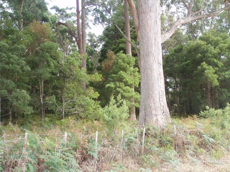 Boxhalls Road, Meander TAS 7304