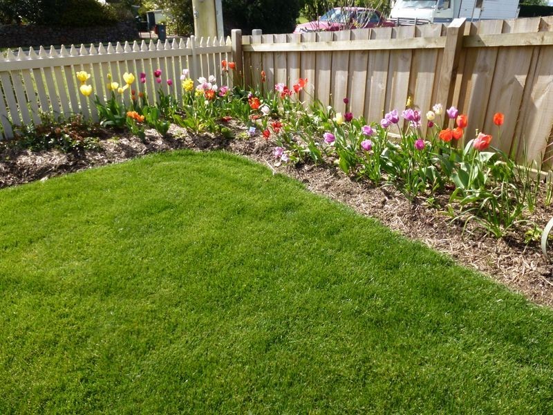 4 Winter Street, Deloraine TAS 7304