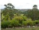 14 Barra Road, Deloraine TAS 7304