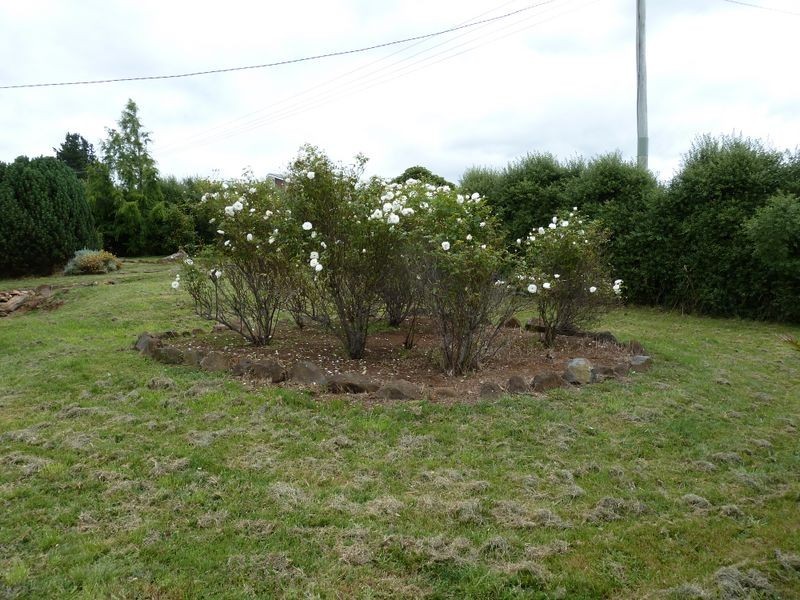 23 Mcneill Street, Mole Creek TAS 7304