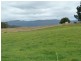 23 Mcneill Street, Mole Creek TAS 7304
