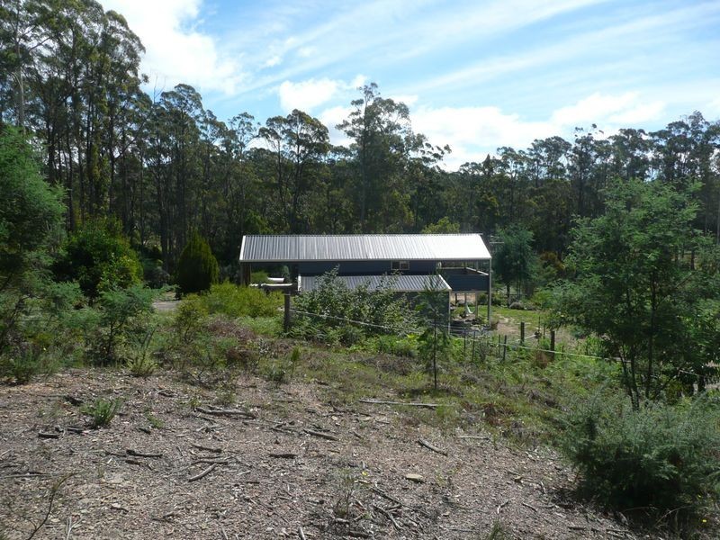 54 Davis Road, Deloraine TAS 7304