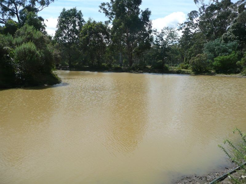 54 Davis Road, Deloraine TAS 7304