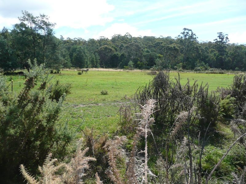 54 Davis Road, Deloraine TAS 7304