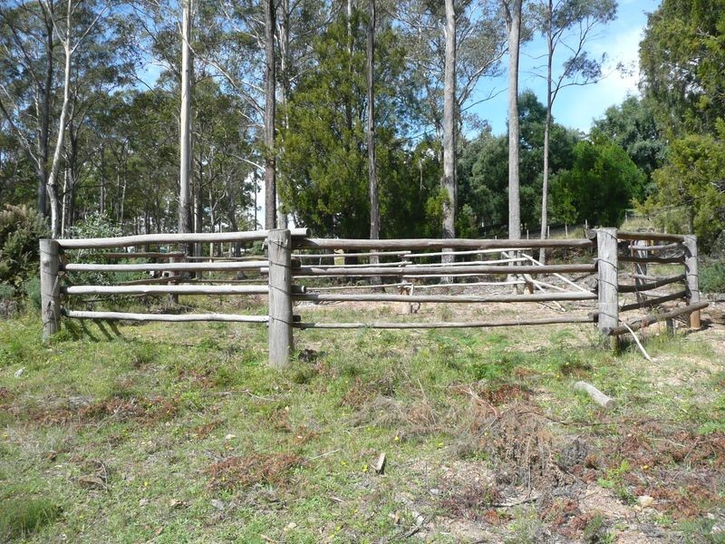 54 Davis Road, Deloraine TAS 7304