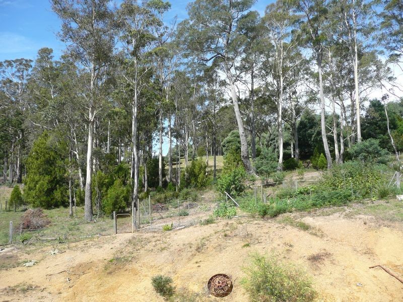 54 Davis Road, Deloraine TAS 7304