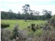 54 Davis Road, Deloraine TAS 7304