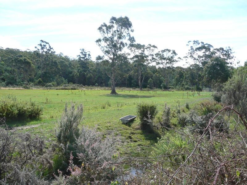 54 Davis Road, Deloraine TAS 7304