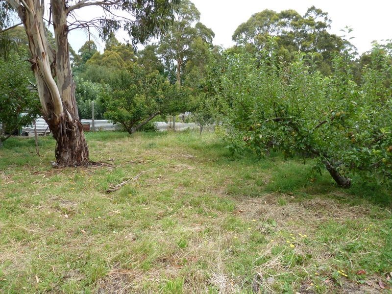 13504 HIghLand Lakes Road, Golden Valley TAS 7304