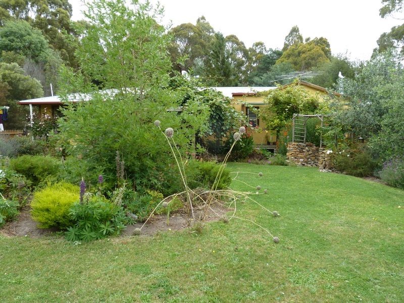 13504 HIghLand Lakes Road, Golden Valley TAS 7304